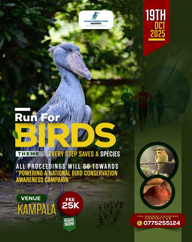 RUN FOR BIRDS