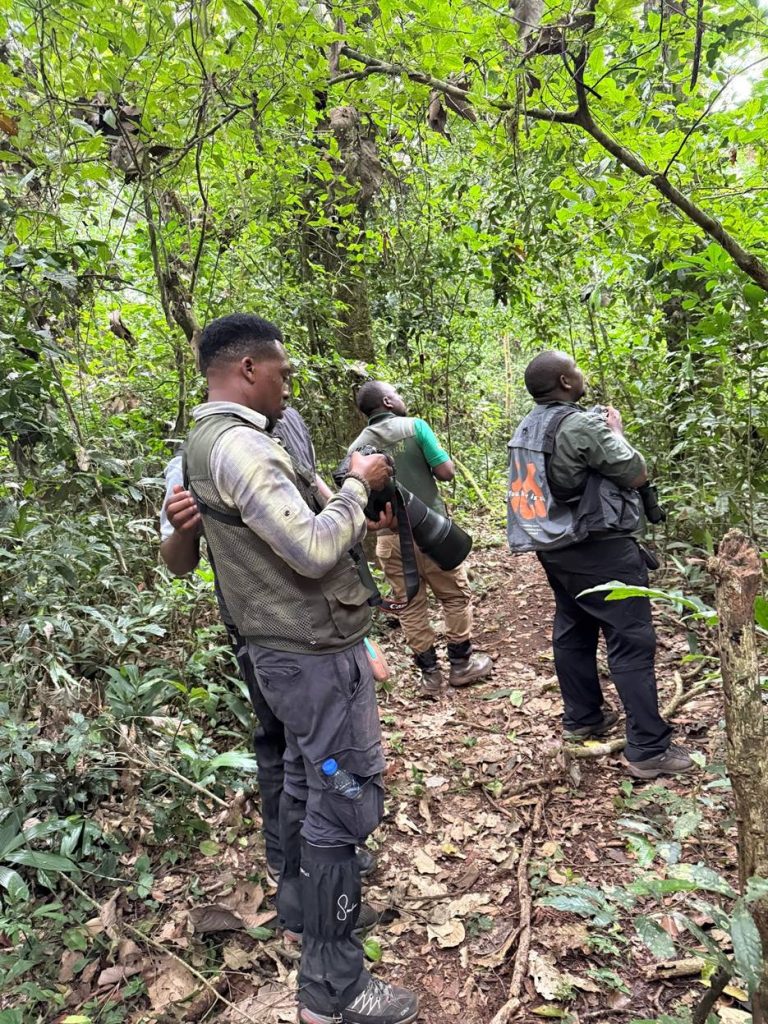 Uganda’s Birdwatchers Can Fill Critical Gaps in Conservation Data Collection