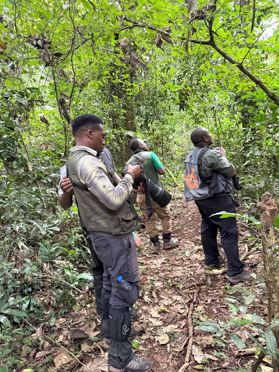 Uganda’s Birdwatchers Can Fill Critical Gaps in Conservation Data Collection